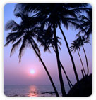 Beache of Goa